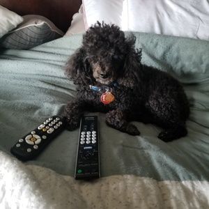 Meet your Posher, Carla